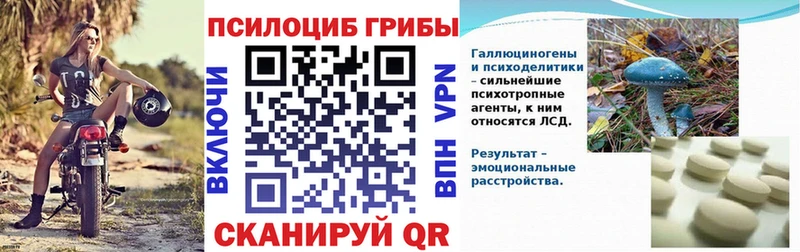Купить закладки  Кудрово  Галлюциногенные грибы мицелий 